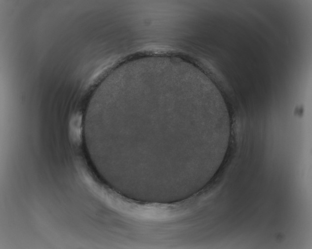X0000116120024200912211703