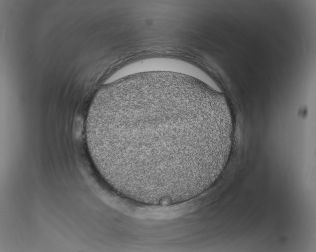 X0000116120025200912211703