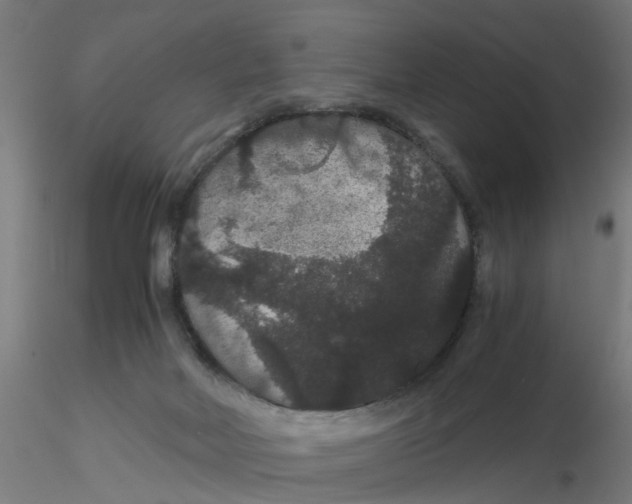 X0000116120026200912211703