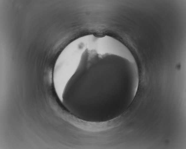 X0000116120027200912211703
