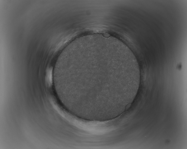 X0000116120028200912211703