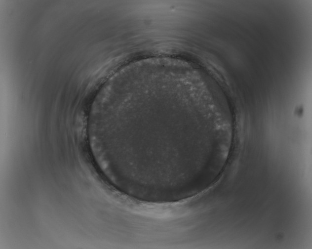 X0000116120029200912211703
