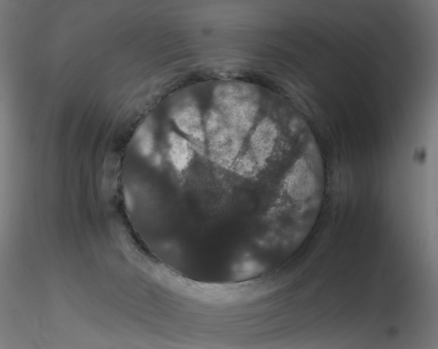 X0000116120030200912211703