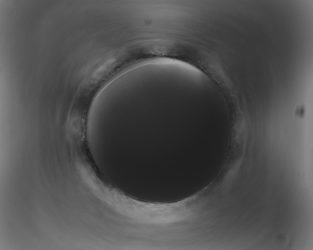 X0000116120031200912211703