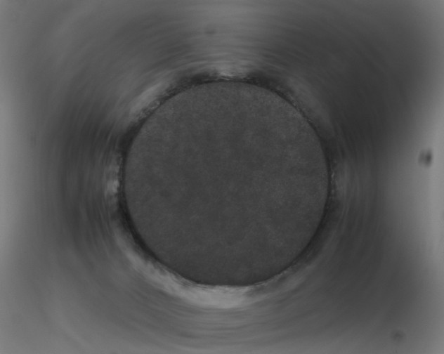 X0000116120032200912211703
