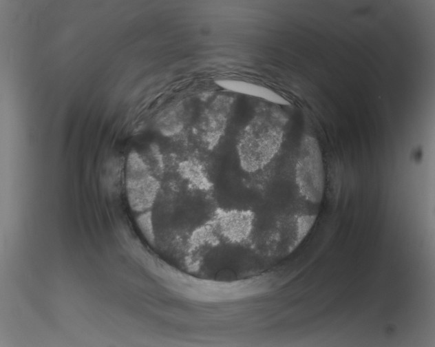 X0000116120034200912211703