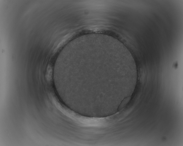 X0000116120036200912211703