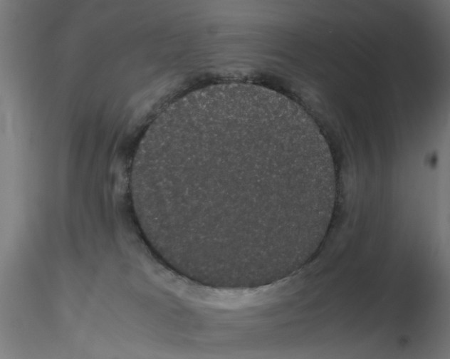 X0000116120037200912211703