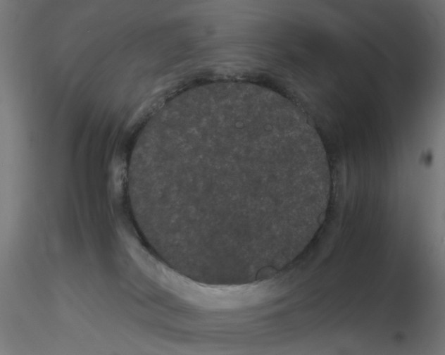 X0000116120038200912211703