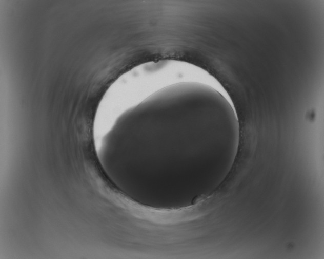 X0000116120039200912211703