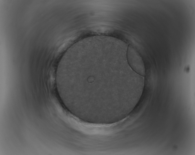 X0000116120040200912211703