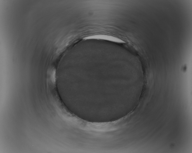 X0000116120041200912211703
