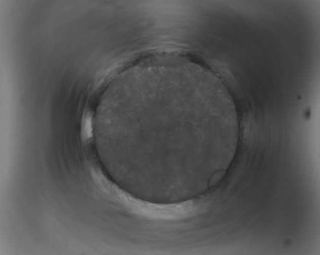 X0000116120042200912211703