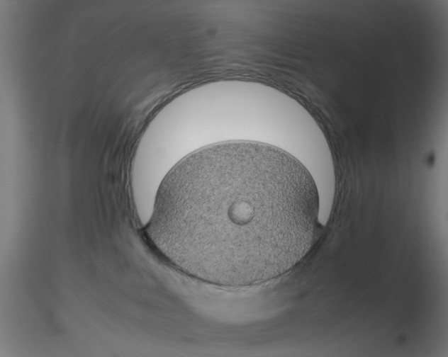 X0000116120043200912211703