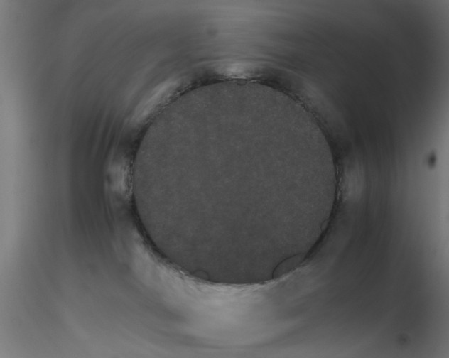 X0000116120044200912211703