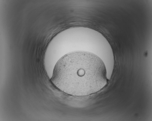 X0000116120045200912211703