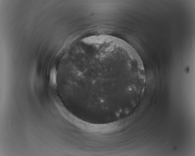 X0000116120046200912211703