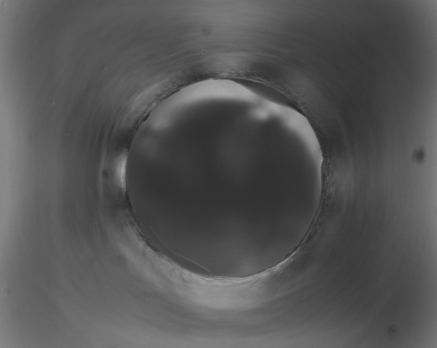X0000116120047200912211703