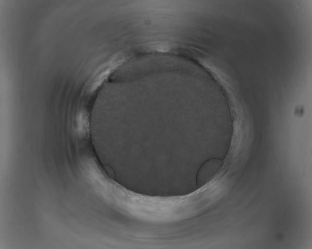 X0000116120048200912211703