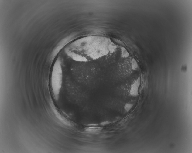 X0000116120051200912211702