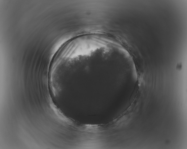 X0000116120052200912211702