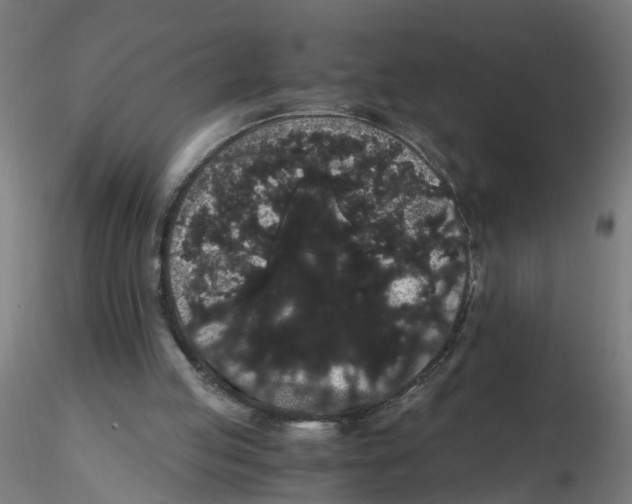 X0000116120053200912211702