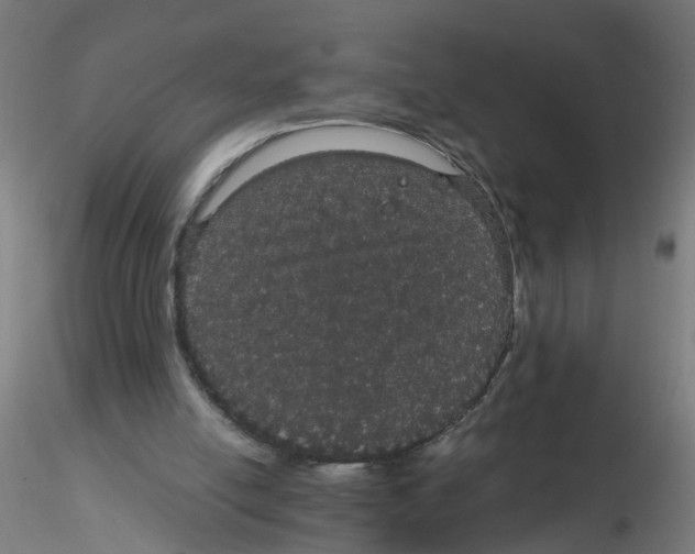X0000116120054200912211702