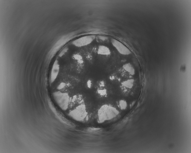 X0000116120055200912211702
