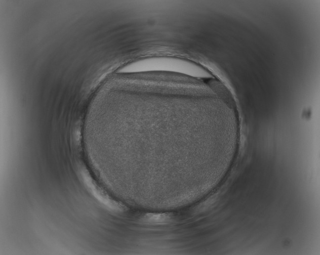 X0000116120057200912211702