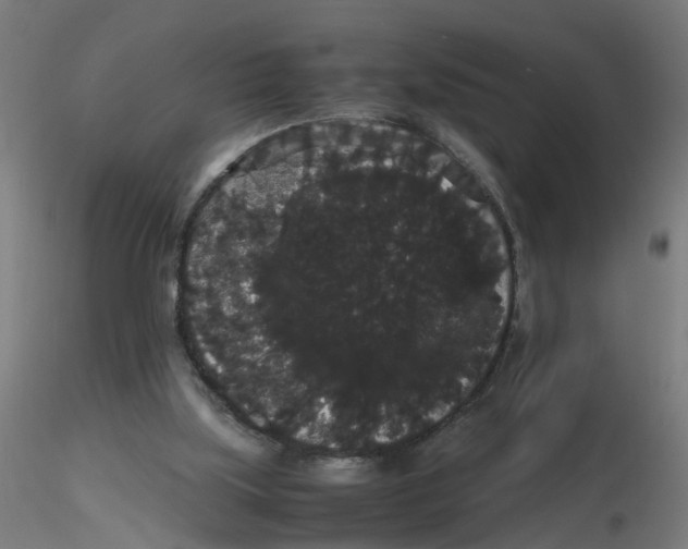 X0000116120059200912211702
