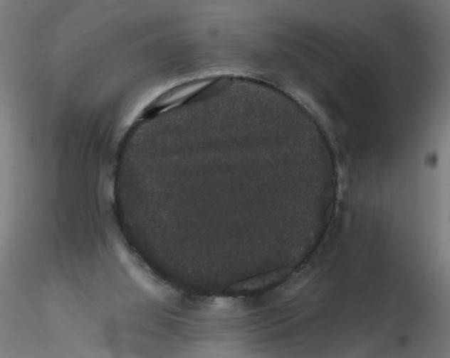 X0000116120060200912211702