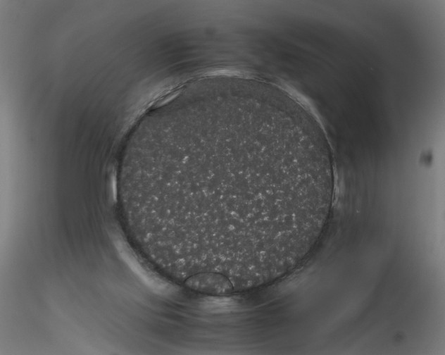 X0000116120061200912211702