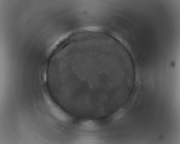 X0000116120062200912211702