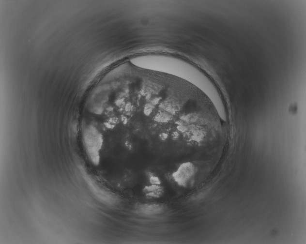 X0000116120063200912211702