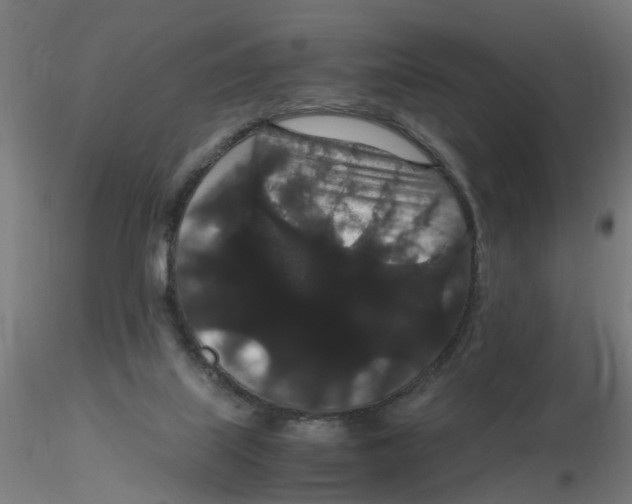 X0000116120067200912211702