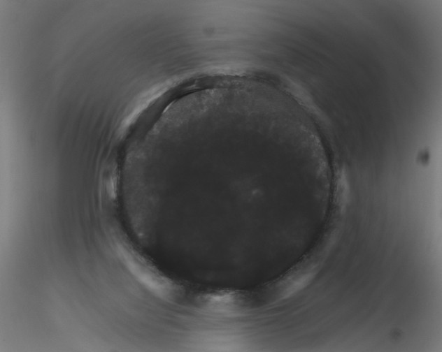 X0000116120068200912211702