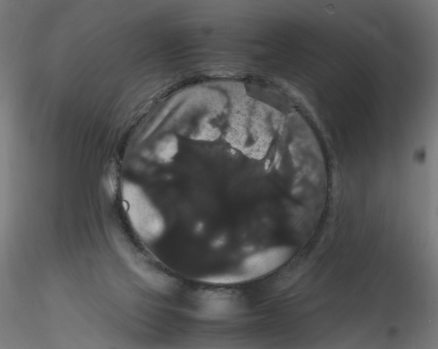 X0000116120069200912211702