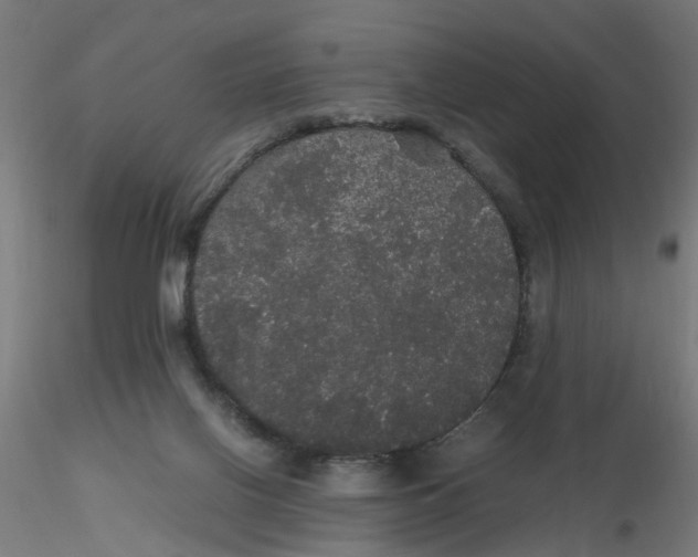 X0000116120070200912211702