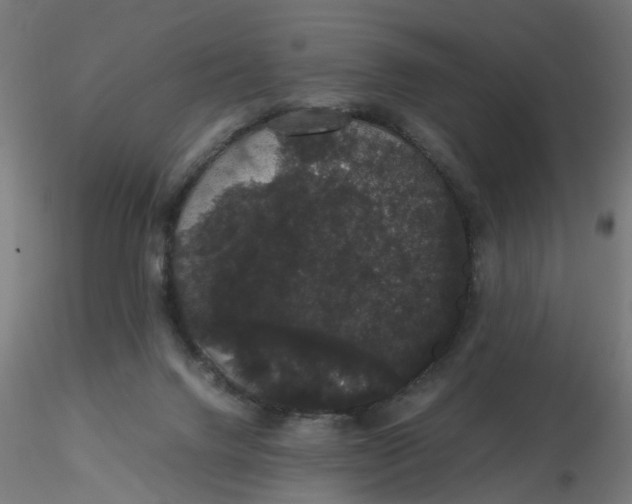 X0000116120072200912211702