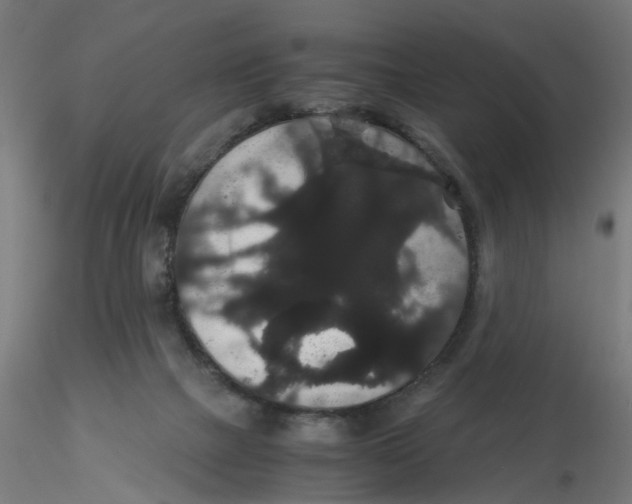 X0000116120073200912211702
