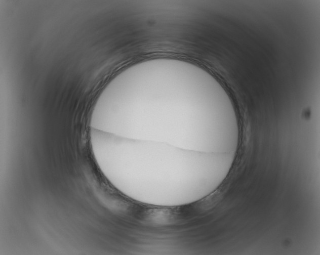 X0000116120074200912211703