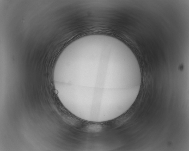 X0000116120075200912211703