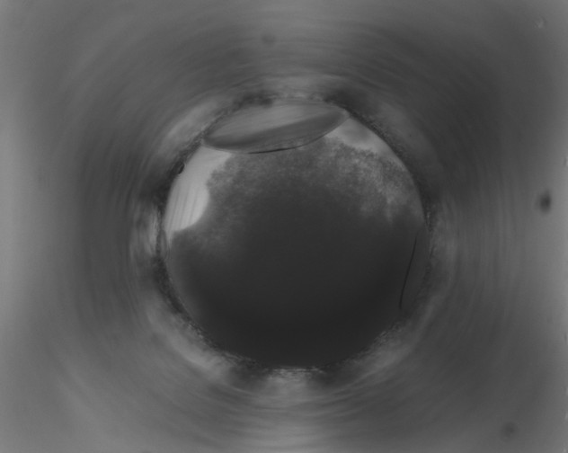 X0000116120076200912211703