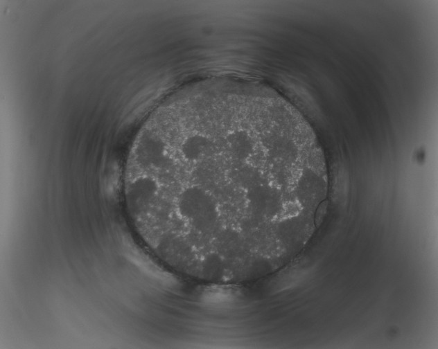X0000116120077200912211703