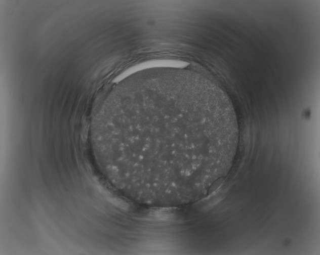 X0000116120078200912211703
