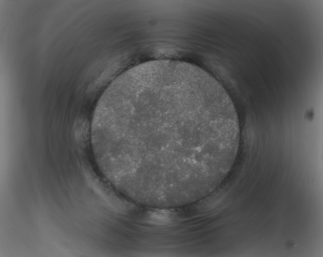 X0000116120079200912211703