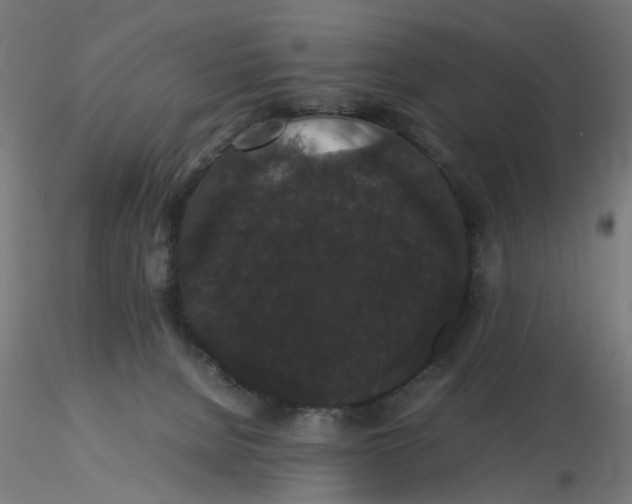 X0000116120080200912211703