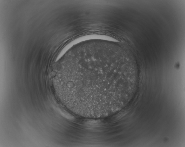 X0000116120081200912211703