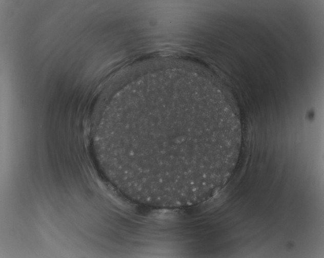 X0000116120082200912211703
