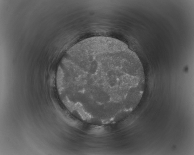 X0000116120083200912211703